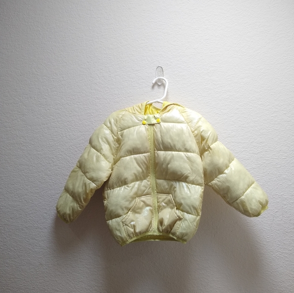 Other - Iridescent Winter Coat with Hood 4T